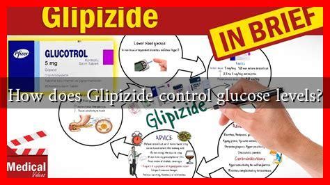 How Does Glipizide Work? Blood Sugar Control