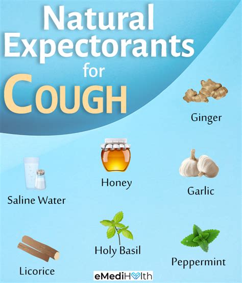 How Expectorants Work? Clear Mucus Naturally