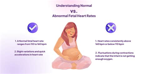 How Fast Should Newborn Heart Rate Be? Get Answers