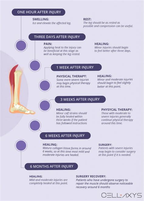 How Long Is Calf Injury Recovery? Get Back Faster