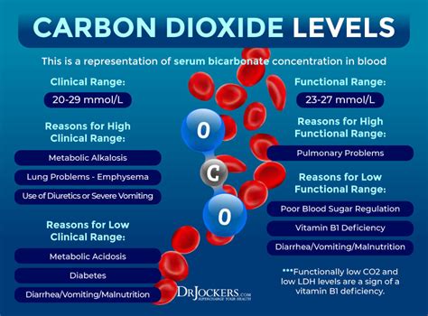 How To Fix Low Co2 Levels? Natural Balance Solutions