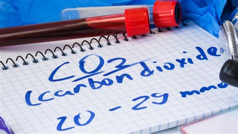In Copd Carbon Dioxide Is Often Overlooked In Copd Carbon Dioxide Is Often Overlooked