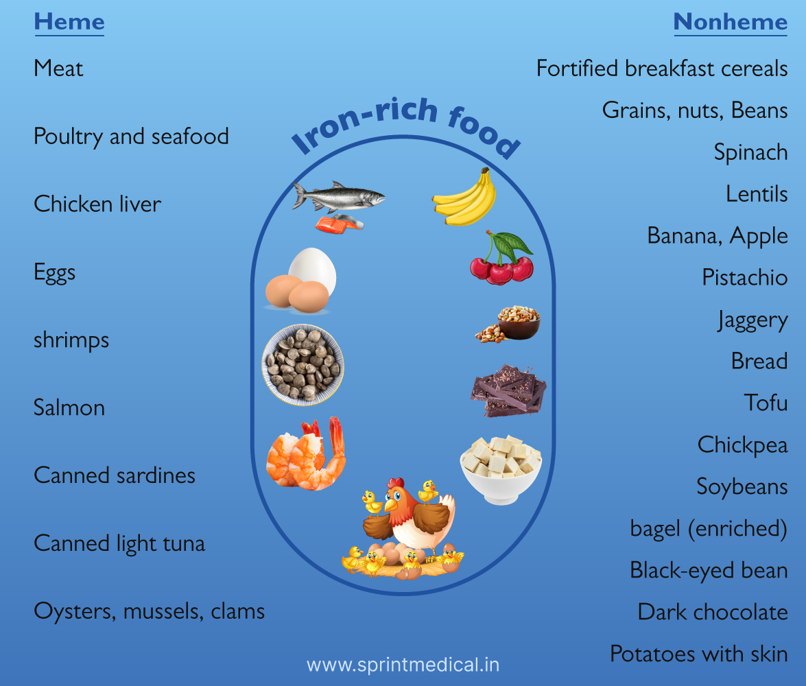Iron Rich Foods List