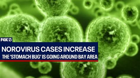 Is There A Stomach Bug Going Around Now Stomach Bug Com