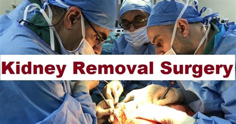 Kidney Removal Surgery Causes And Types Health And Fitness Kidney Removal Surgery Causes And Types Health And Fitness