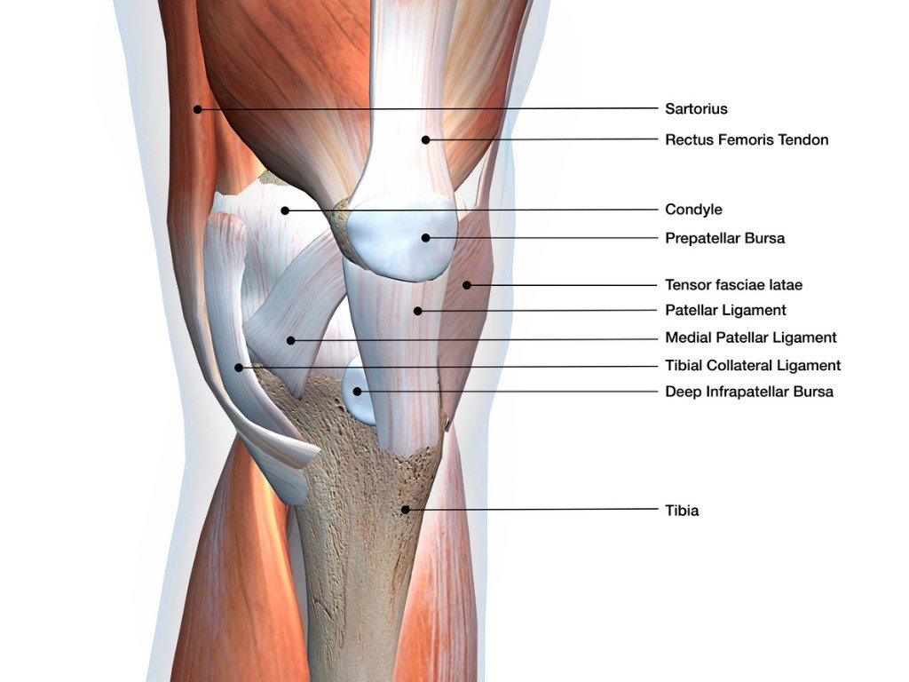 Knee Operation Replacement