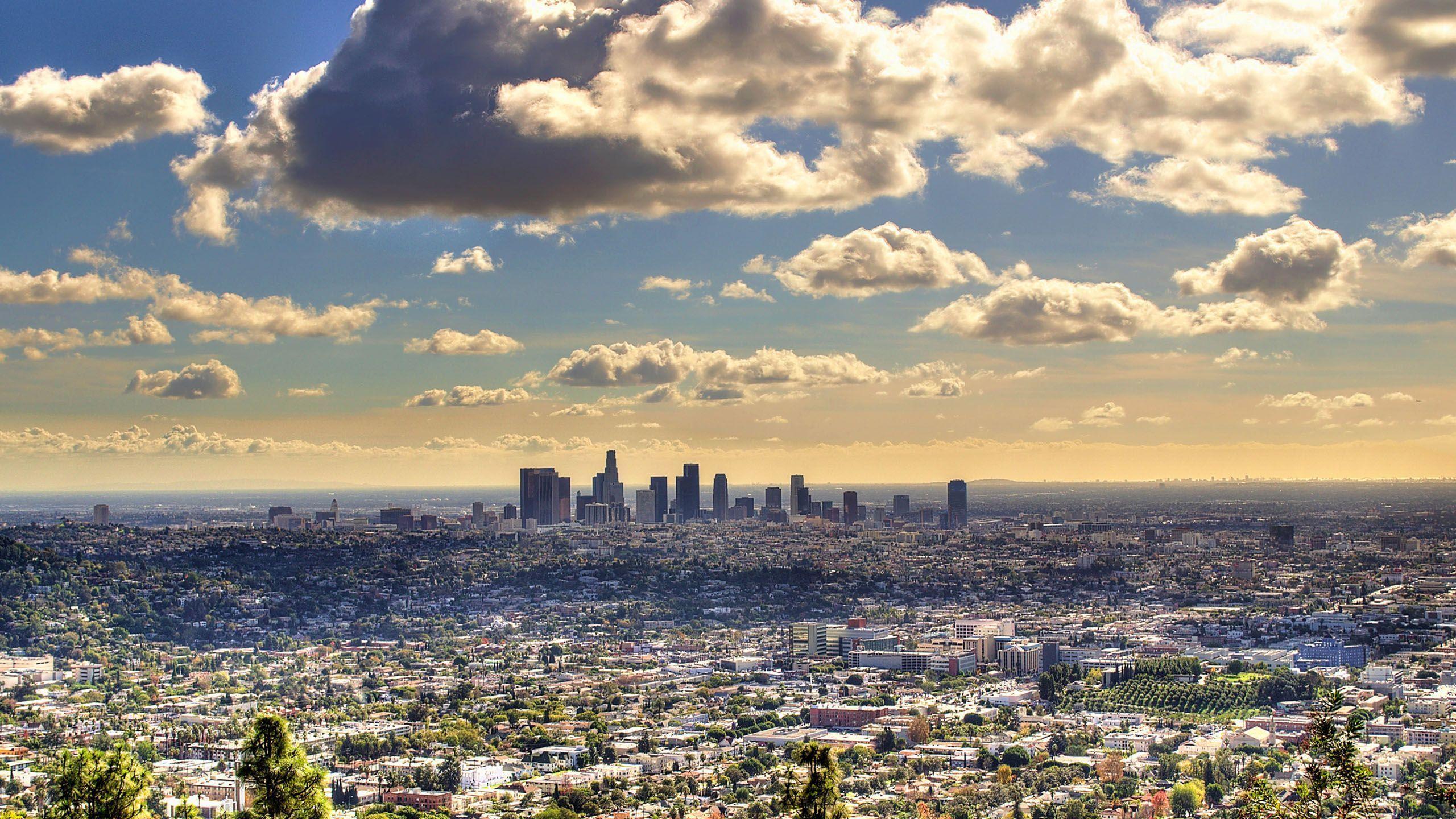 La County Harbor Ucla: Expert Medical Care Guaranteed