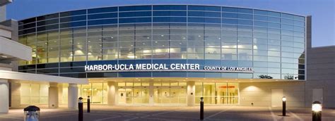 La County Harbor Ucla: Innovative Patient Solutions Found