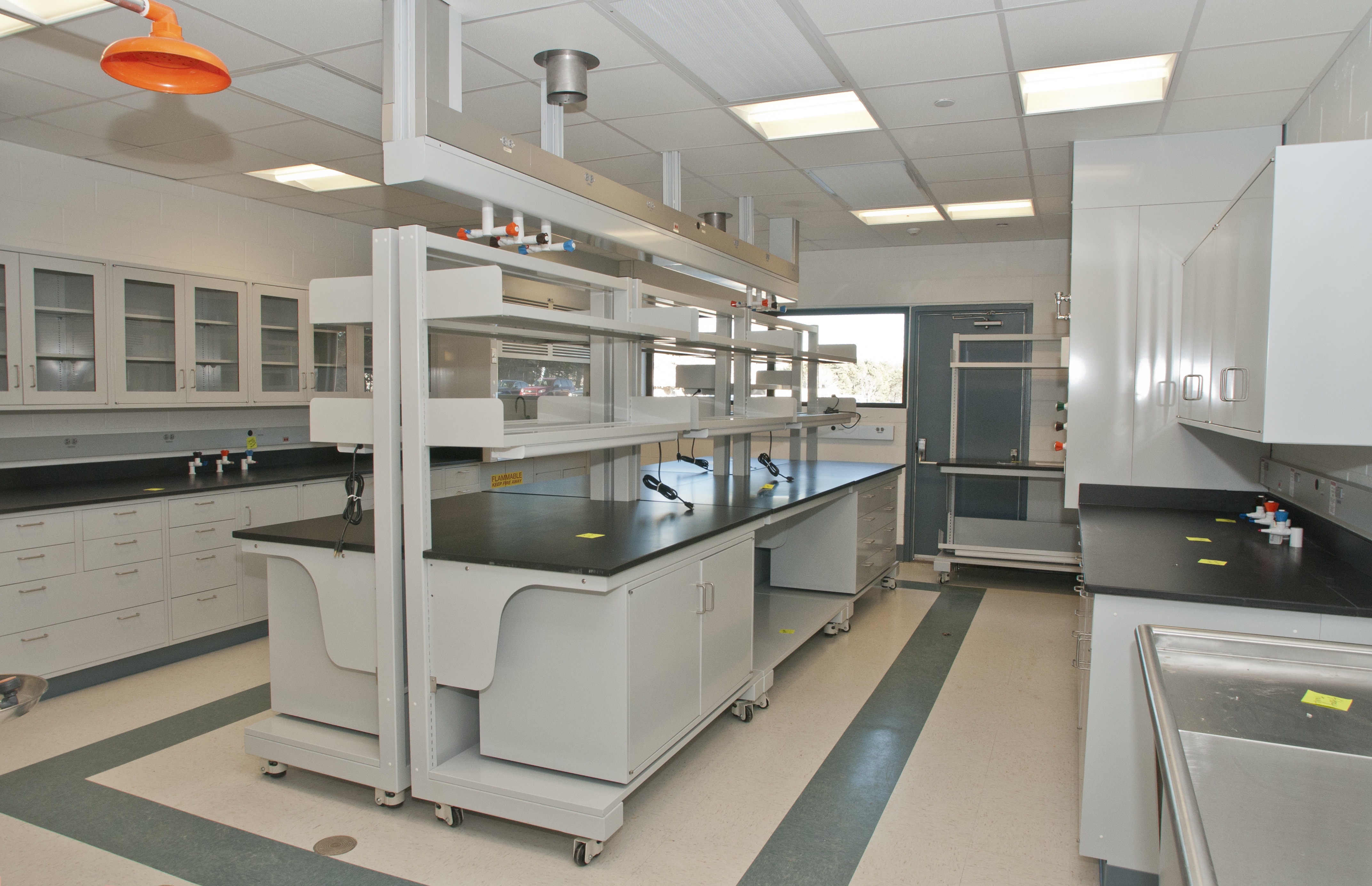 Lab Test Esr Sed Rate