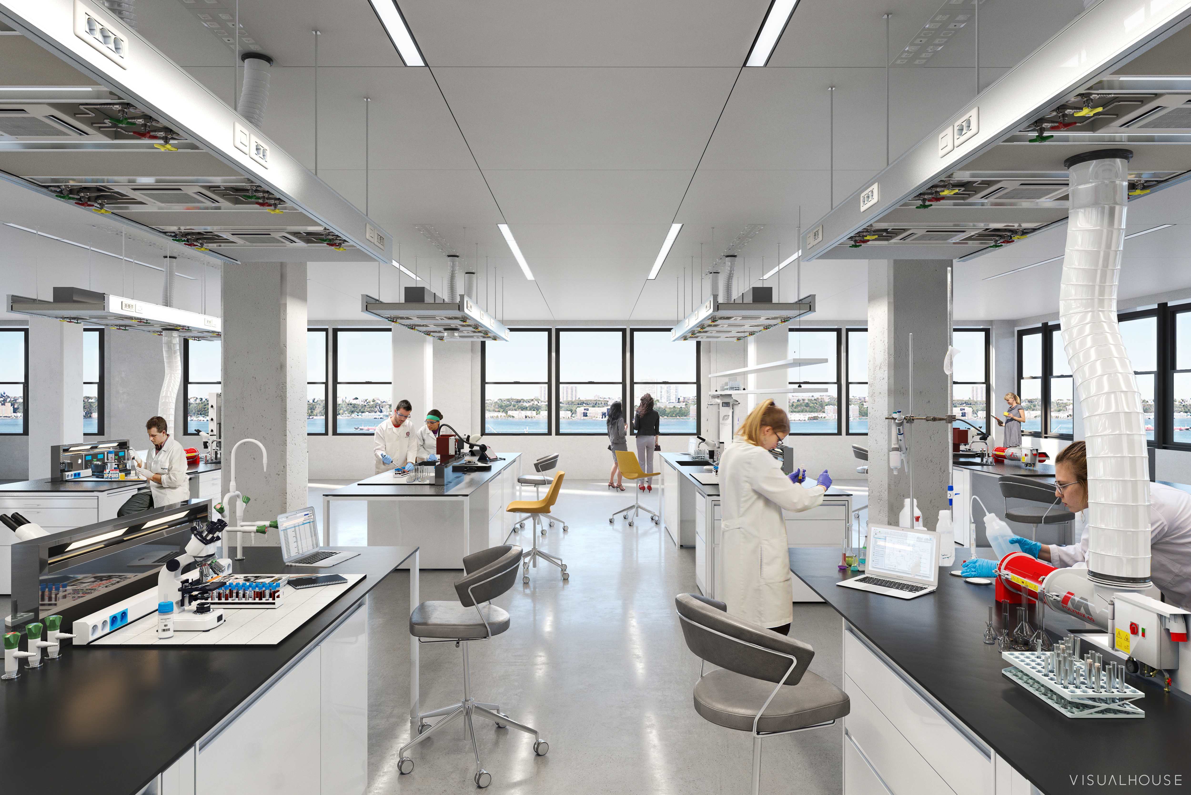 Laboratory Test For Kidney Function