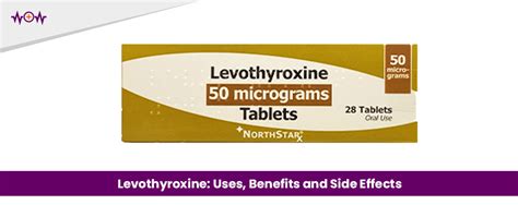 Levothyroxine Uses Revealed: Thyroid Health