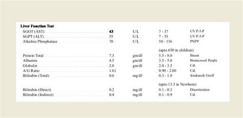 Liver Test Lft