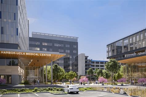 Los Angeles County Harbor Ucla Medical Center Program Orthopaedic Los Angeles County Harbor Ucla Medical Center Program Orthopaedic
