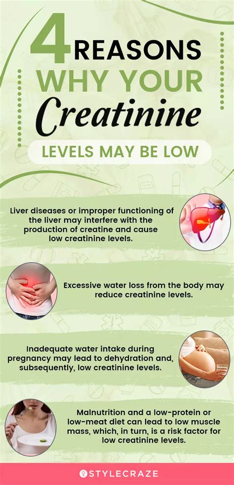 Low Creatinine Guide: Causes And Next Steps