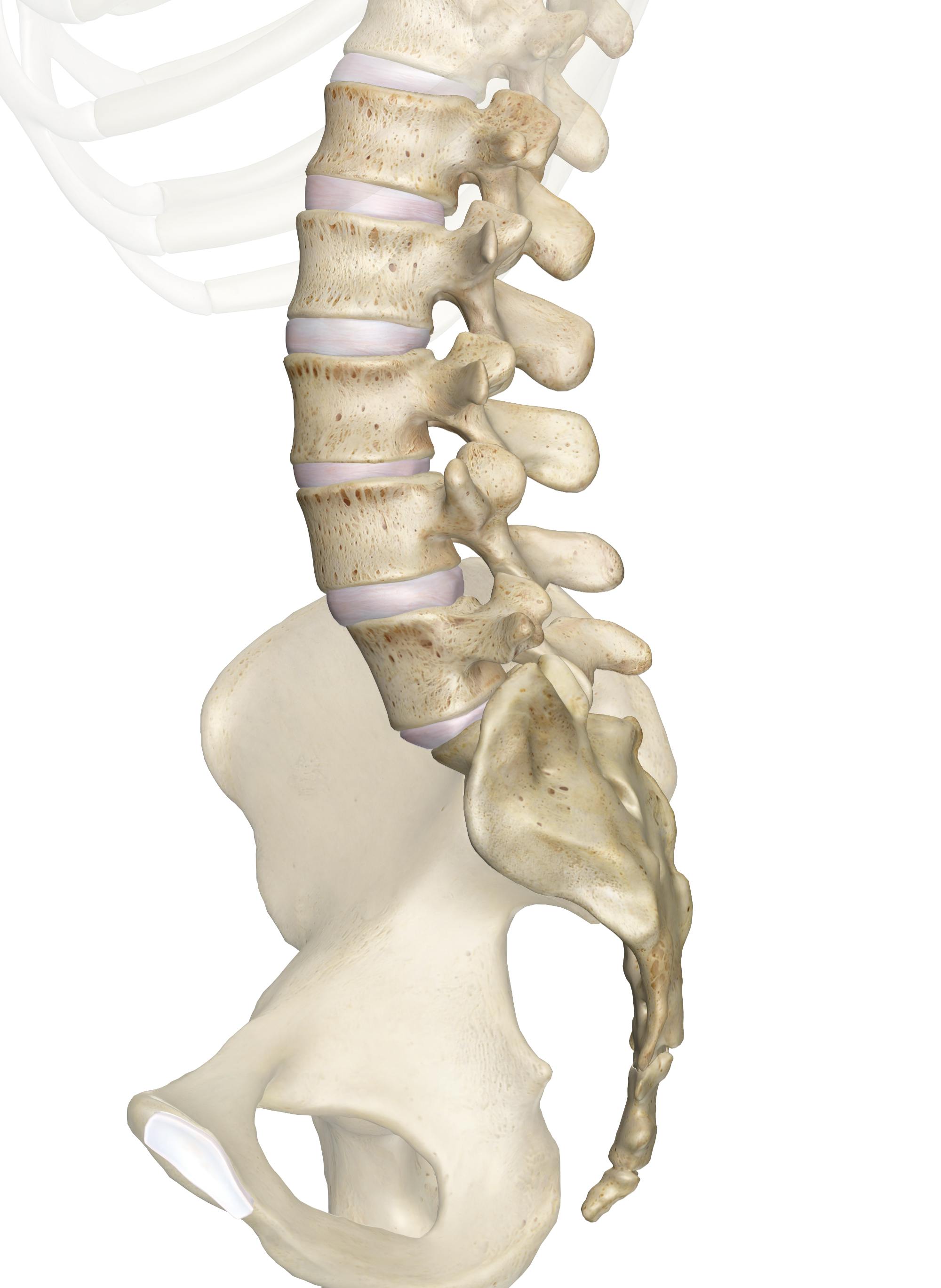 Lumbar Spondylosis Guide: Symptoms To Surgery Options