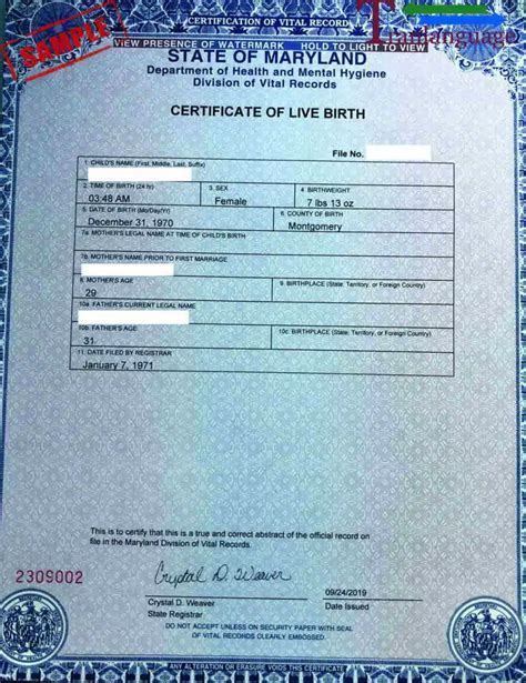 Maryland Birth Records: Access Yours Easily Today