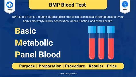 Metabolic Panel Test: Know Your Health Risks