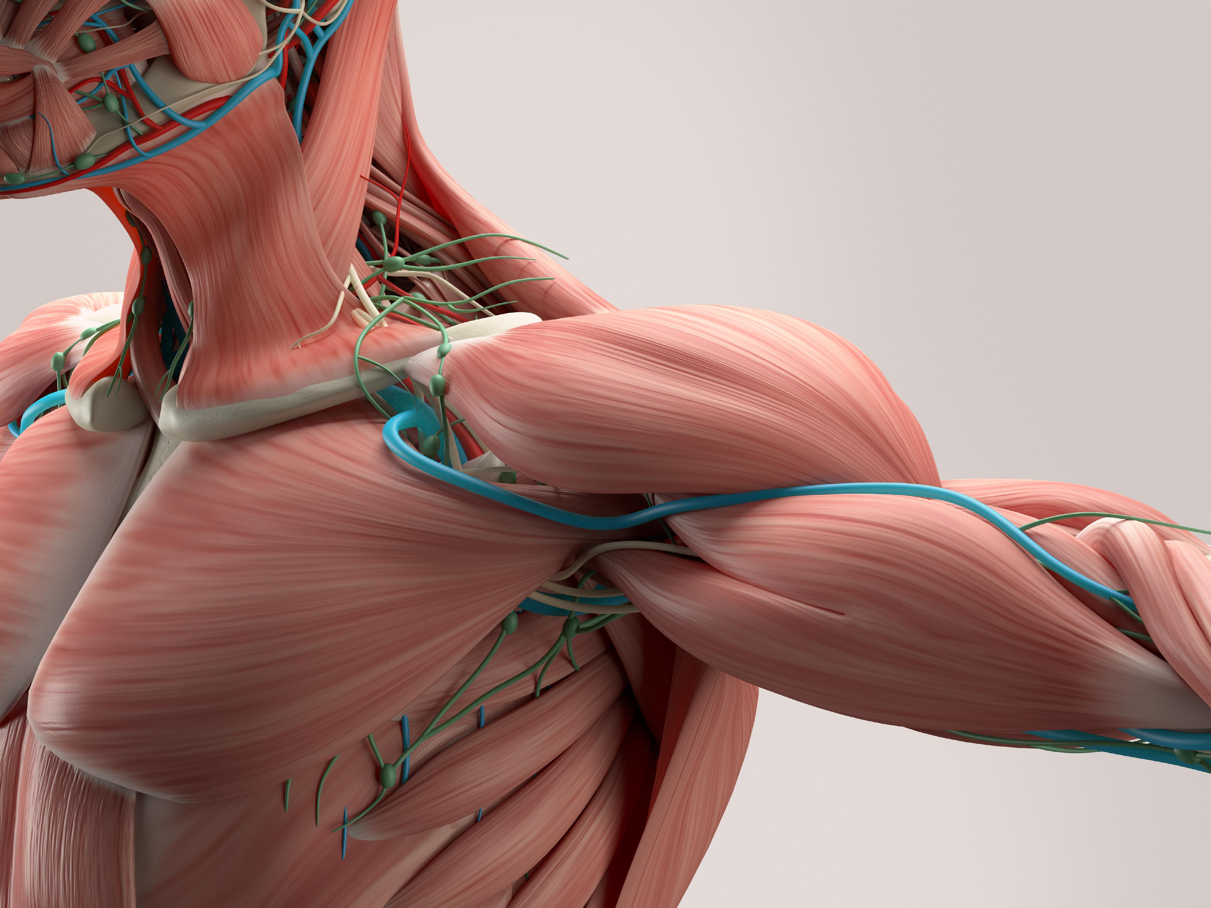 Muscle Soreness Solutions: Expert Advice