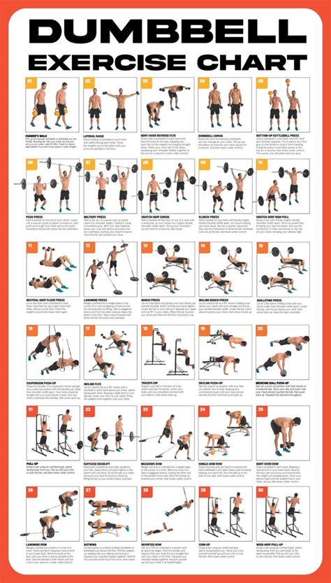 My Front My Back Workout Blueprint