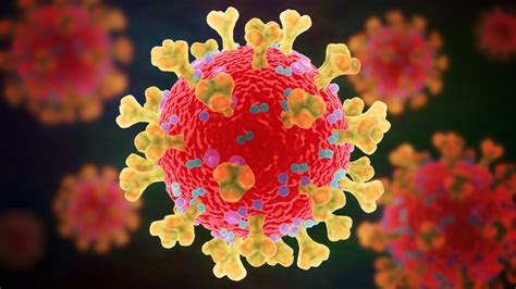 New Corona Virus