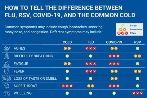 New Virus 2024 Symptoms