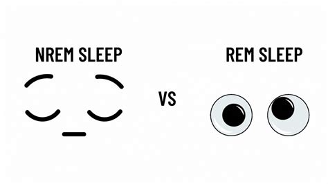Non Rem Sleep