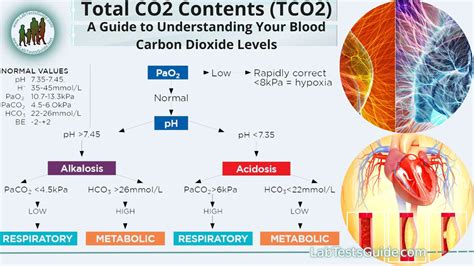 Normal Co2 Content