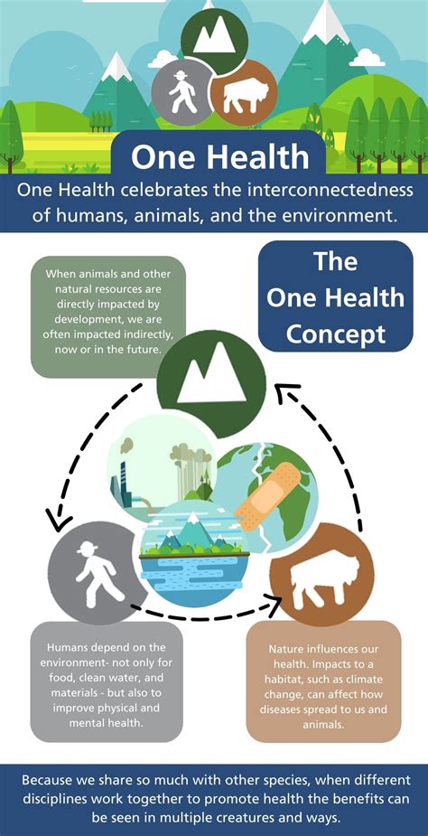 Our Health Our Health