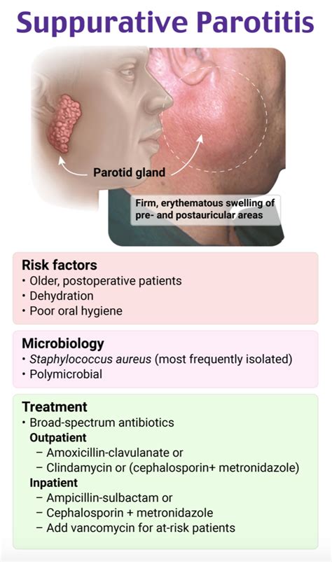 Parotid Gland Infection: Causes & Cures