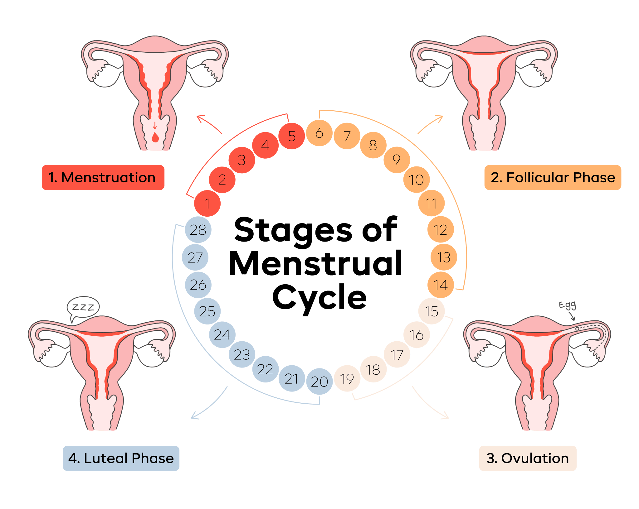 Period Pain Medicine