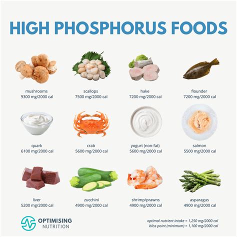 Phosphorus Rich Foods: Improve Energy Levels