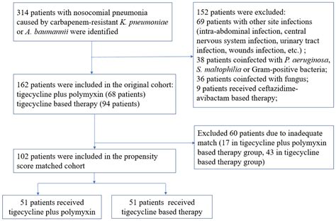 Polymyxin B Guide: Effective Treatment Options