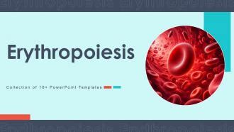 Ppt Erythropoiesis Powerpoint Presentation Free Download Id 6156029