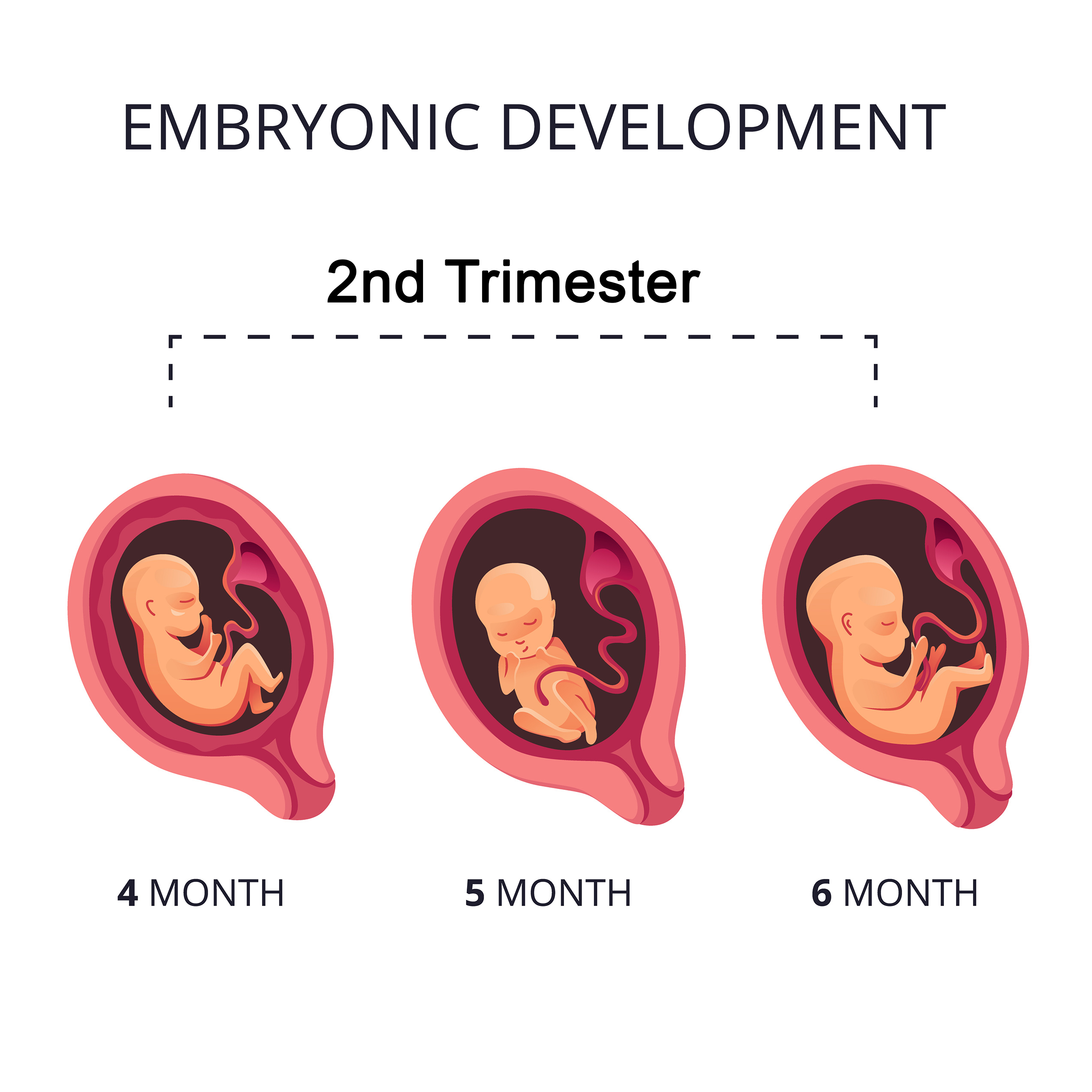 Pregnancy Pelvic Floor: Strengthen Core & Reduce Pain