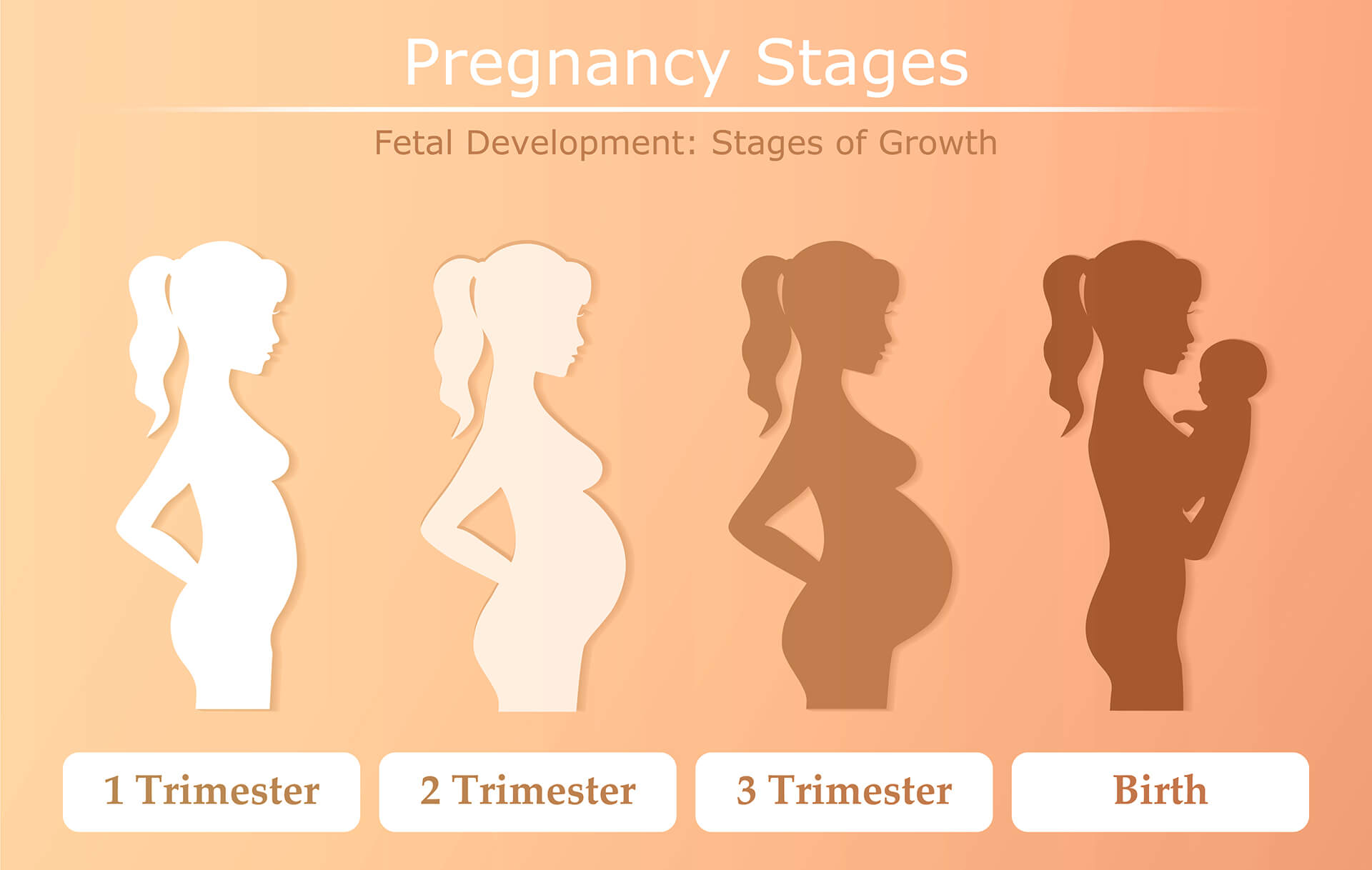 Pregnancy Safe Allergy Medicine