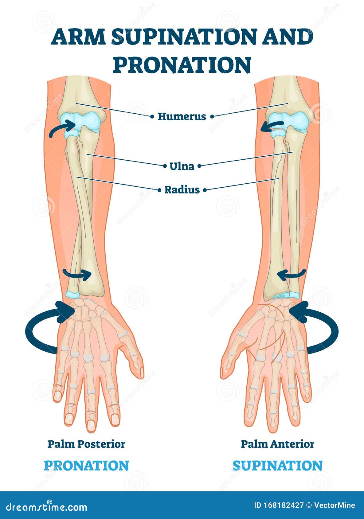 Pronation Of Foot Explained: Causes & Fixes
