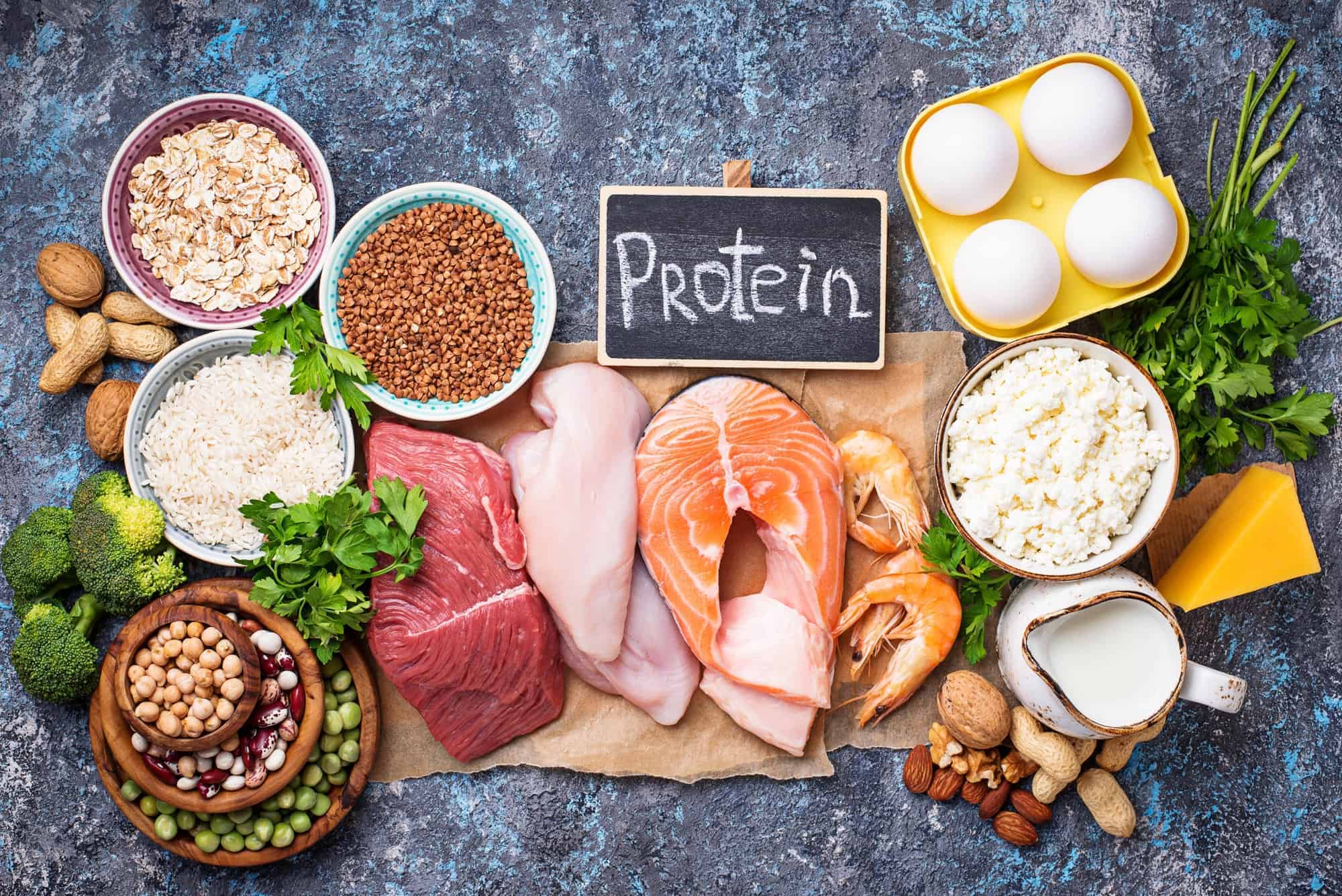 Protein For Plant Based