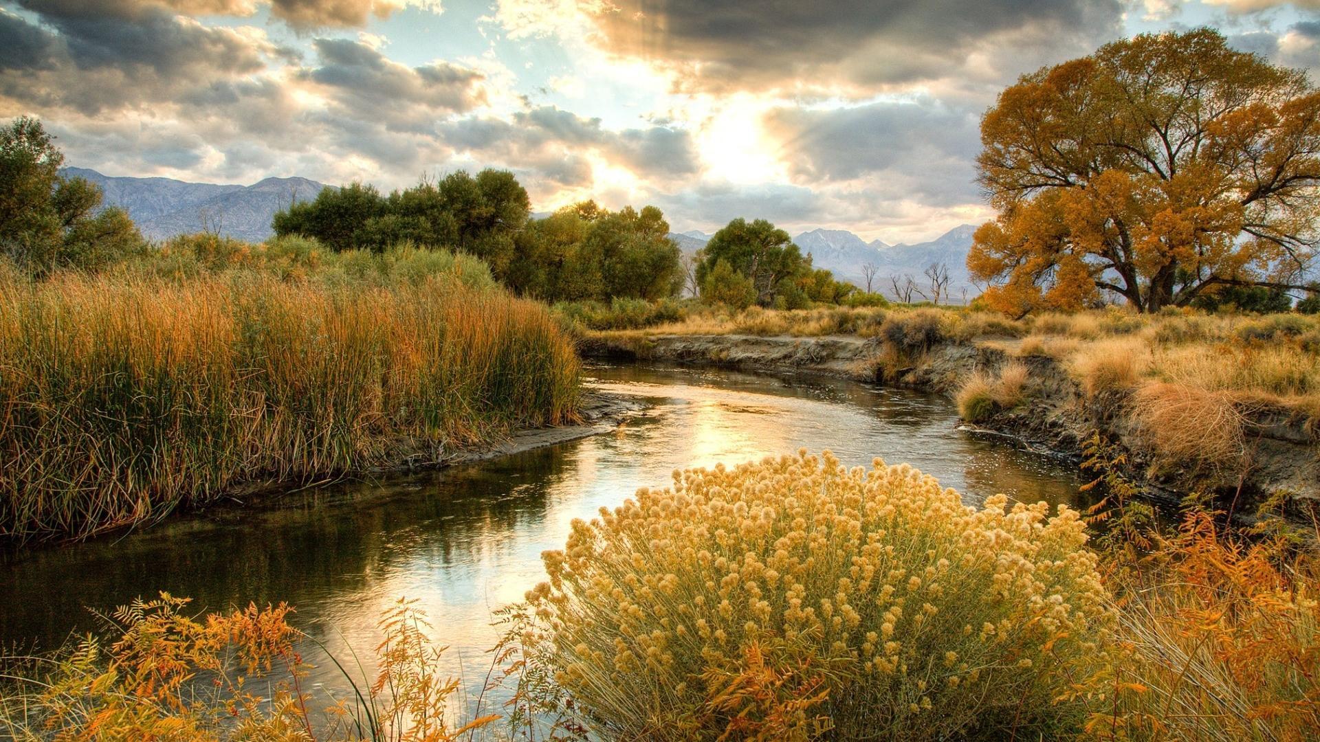 Riverside Food Lab Guide: Eat Healthy