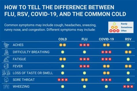 Rsv Vs Flu