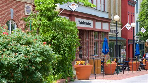 Salisbury Md Marketplace: Find Best Local Deals Fast