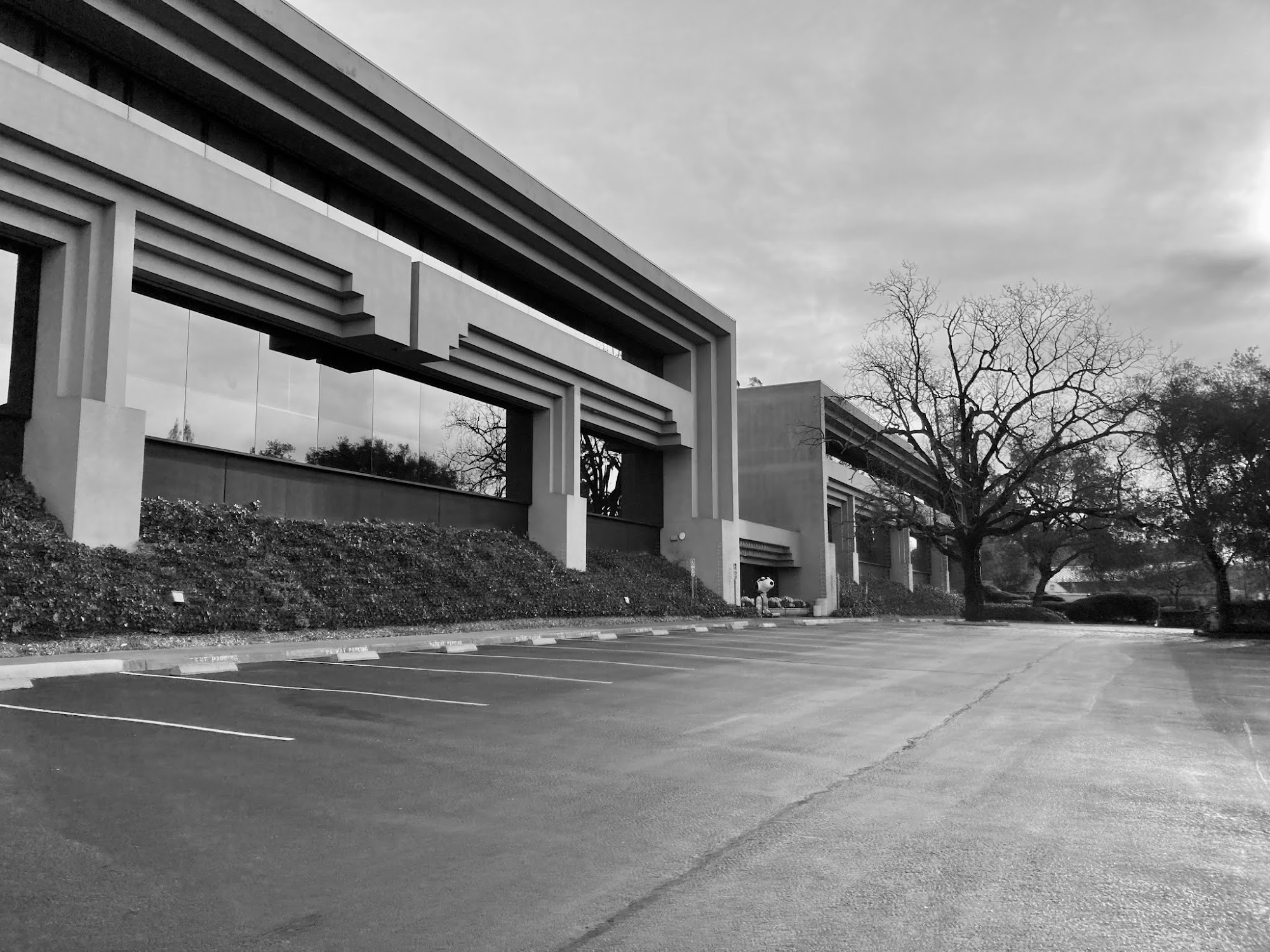 Santa Rosa Imaging Reviews