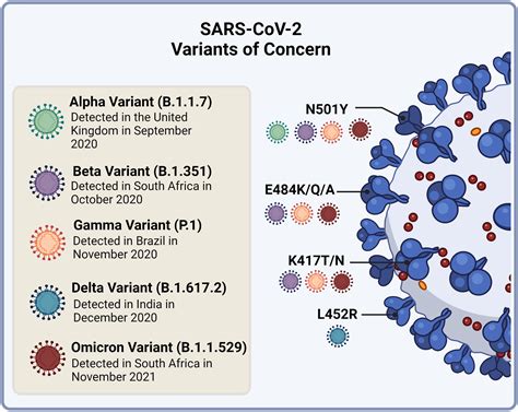 Sars Cov 2 Variants Sars Cov 2 Variants