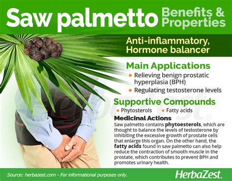 Saw Palmetto Side Effects