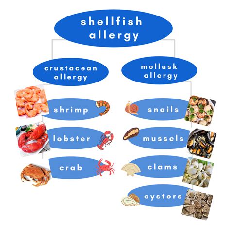 Shellfish Allergy Symptoms