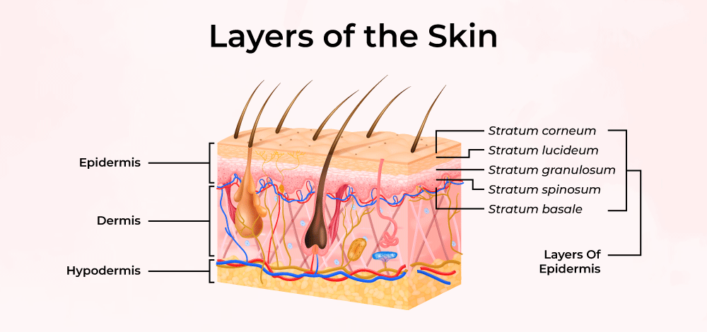 Skin Tag Removal: Fast And Painless Solution