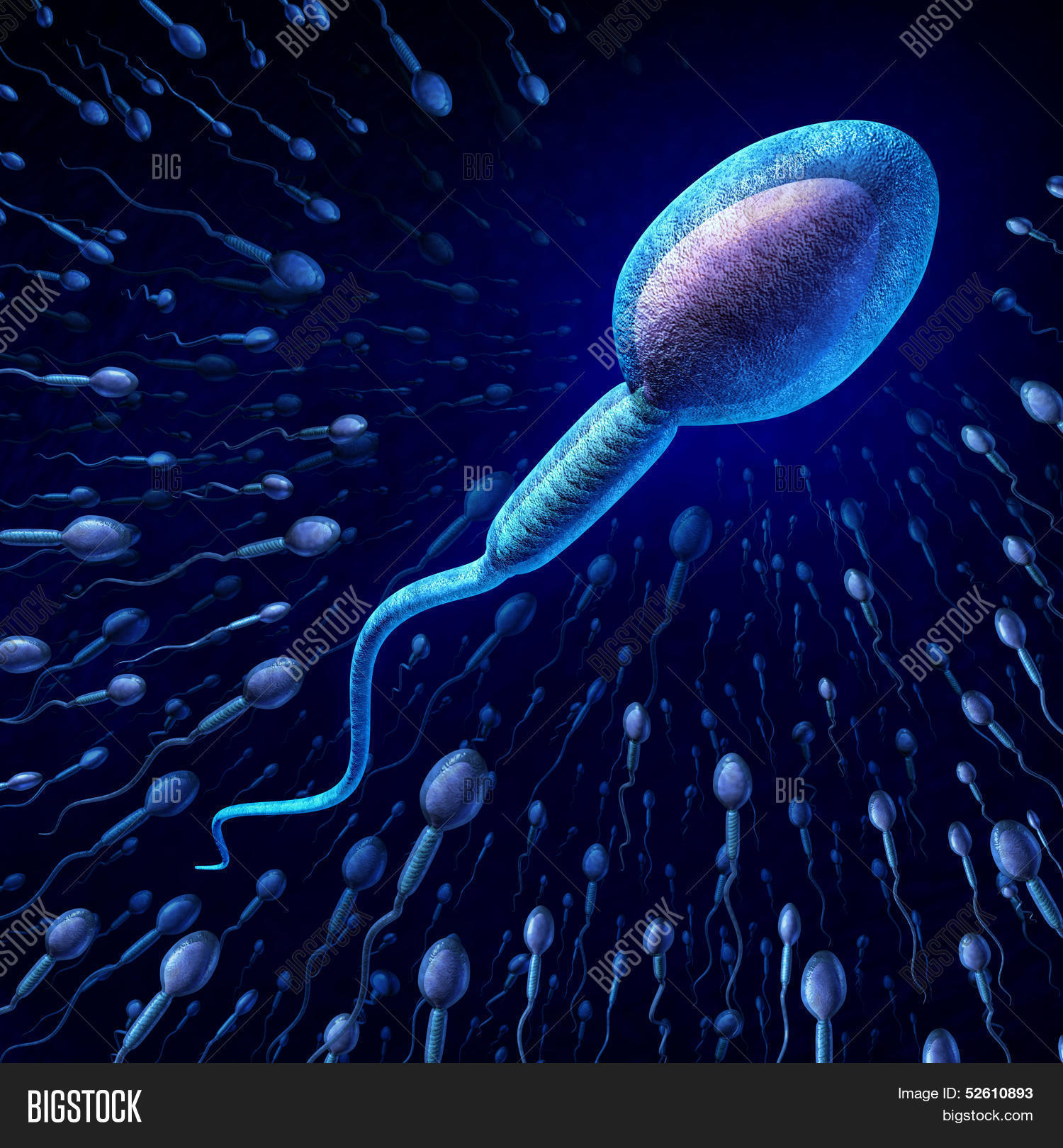 Sperm Count Test Near Me: Quick Results