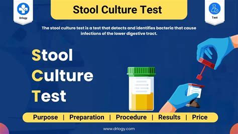 Stool Check Up