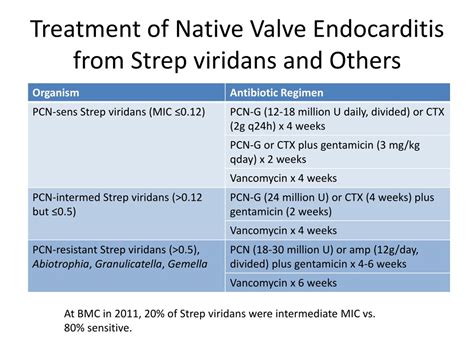Strep Treatment Guide: Antibiotics Explained