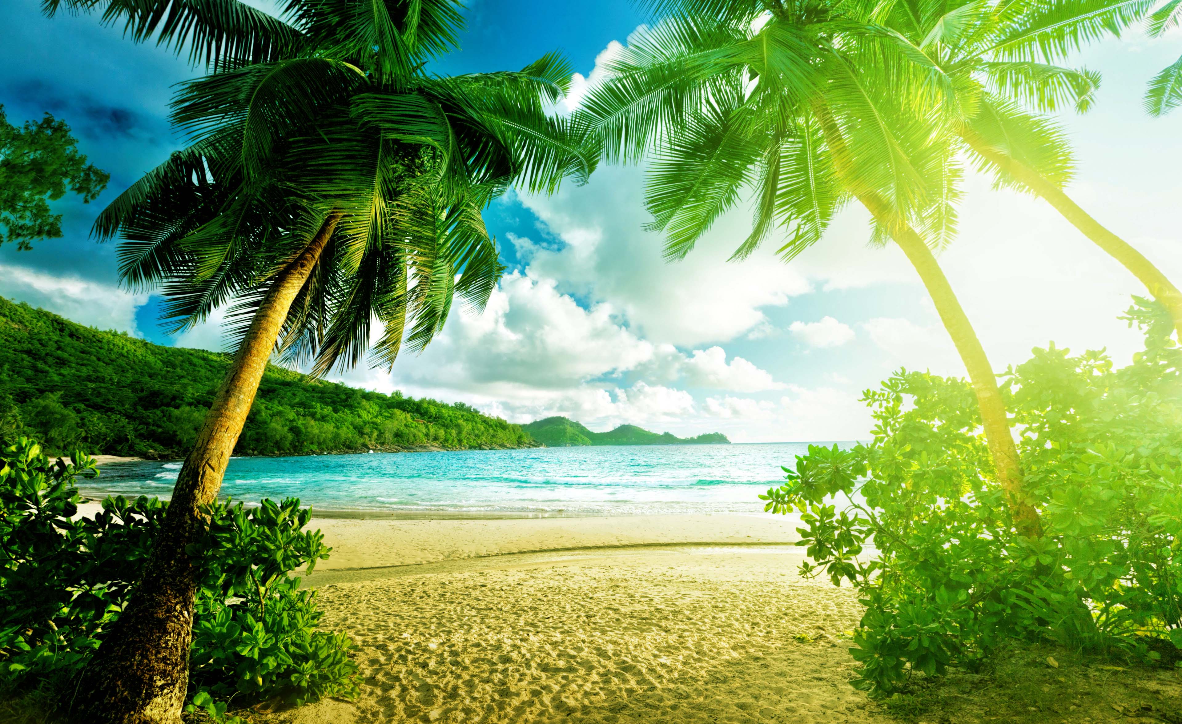 Summer Covid Symptoms