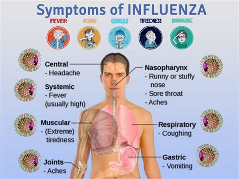 Symptoms Of Recent Flu Virus